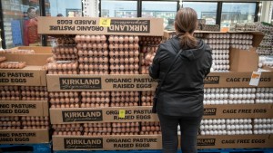 Trứng Costco bị thu hồi vì nghi ngờ nhiễm khuẩn Salmonella