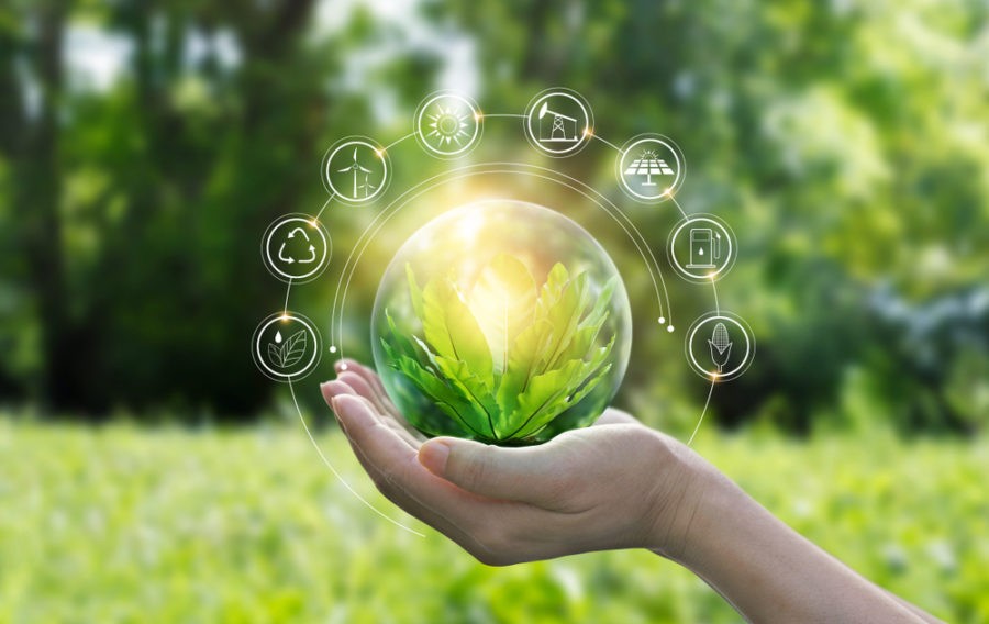 4 doanh nghiệp chiến thắng trong Sustainability Impact Awards 2024