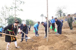 Phát động Tết trồng cây và thi đua chào mừng Đại hội lần thứ XIV của Đảng