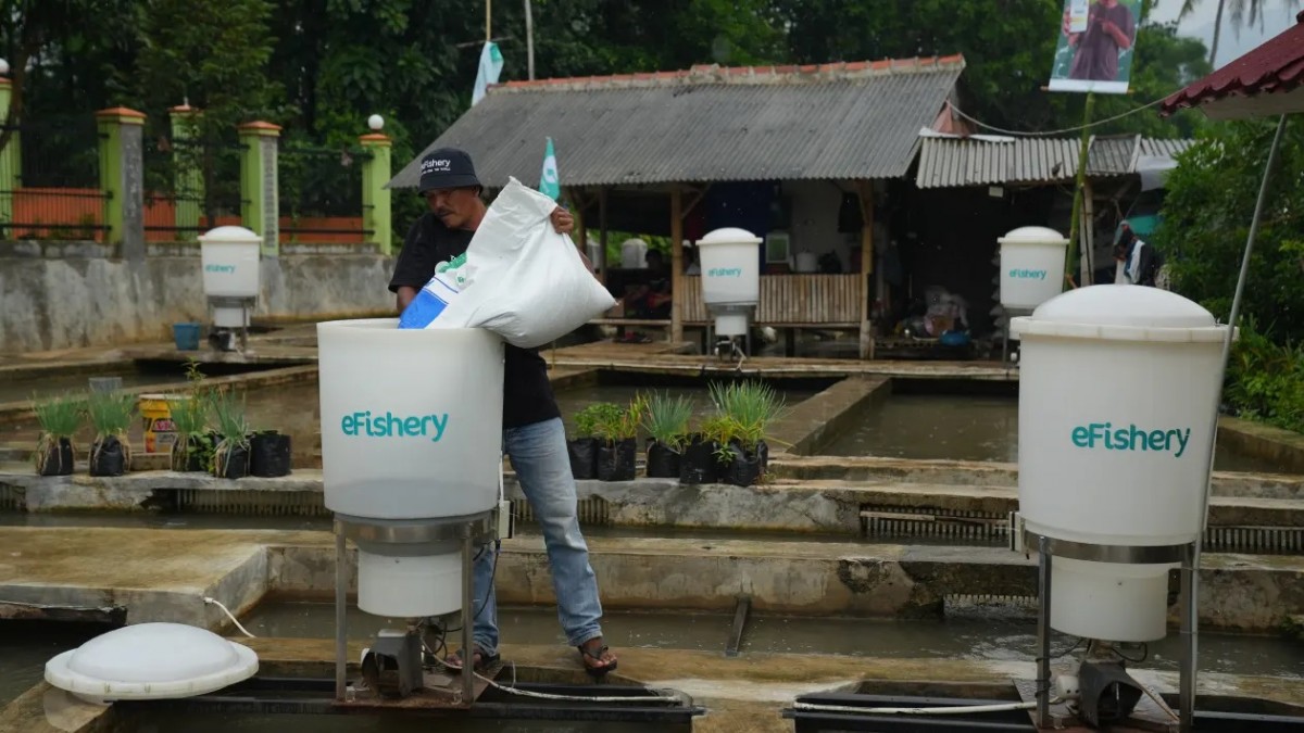 eFishery là vụ bê bối khởi nghiệp ở Indonesia