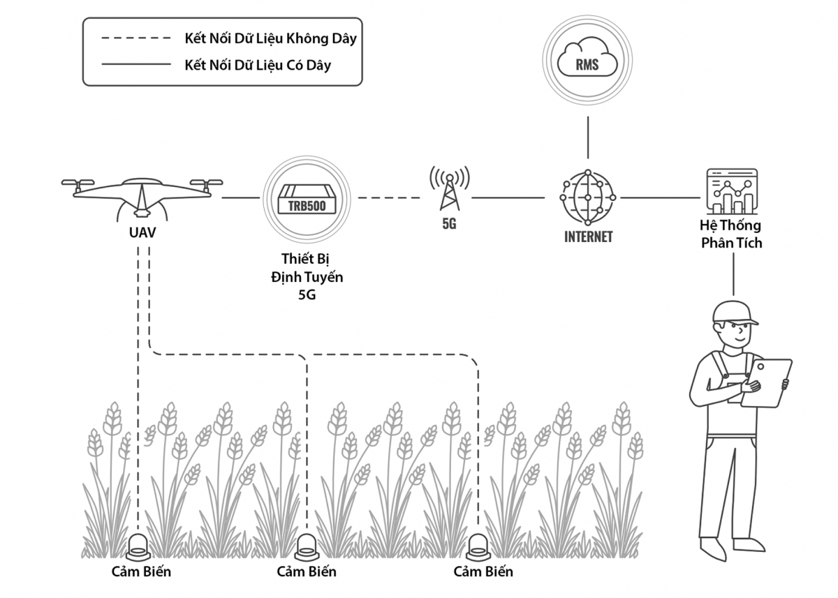 Công nghệ 5G thay đổi nền nông nghiệp như thế nào?