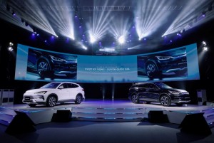 BYD Việt Nam 
