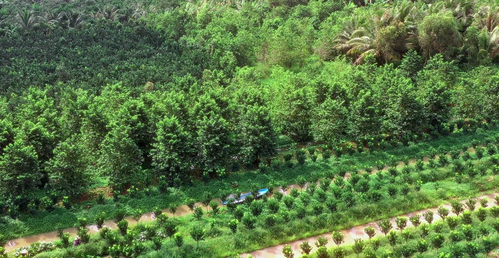 VINUT đưa đặc sản Việt vào siêu thị trực tuyến lớn nhất nước Mỹ