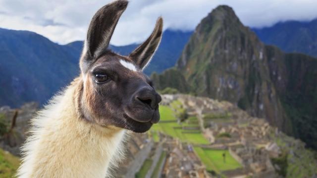 Meta tiếp tục hoãn ra mắt siêu mô hình AI Llama 4 Behemoth