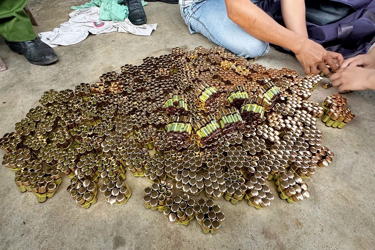 Thông tin mới nhất xung quanh nấm Ngưu Chương Chi