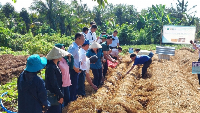 Biến rơm rạ thành 