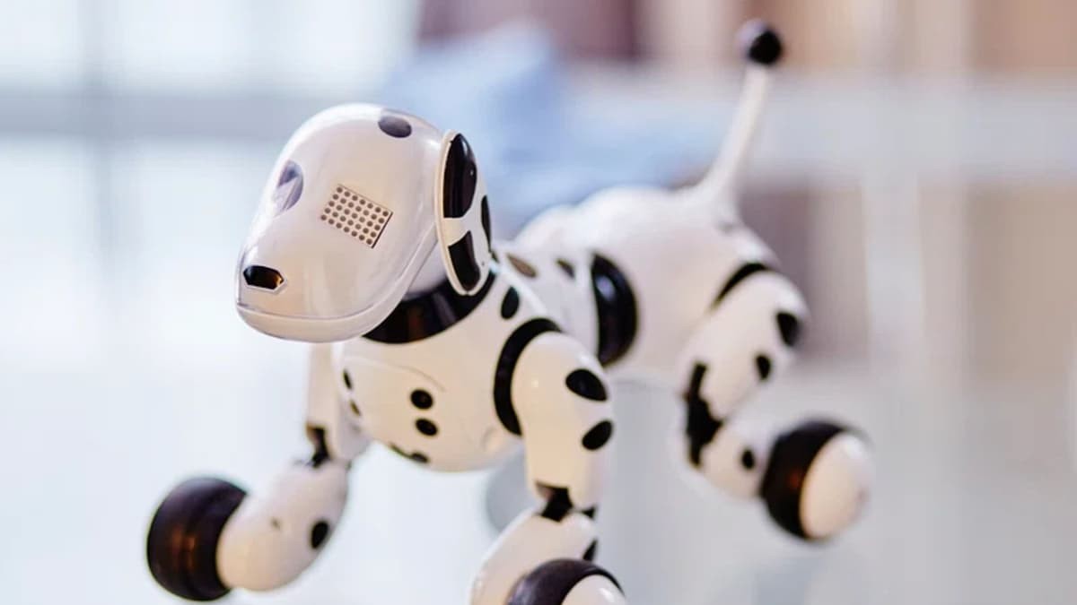 Robot trị liệu cần 'đọc vị' cảm xúc con người như ngựa trị liệu Robot trị liệu cần 'đọc vị' cảm xúc con người như ngựa trị liệu