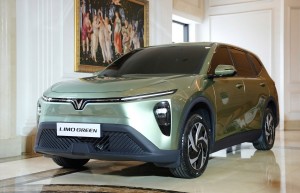 VinFast cam kết bao tiêu sản phẩm, hướng tới 1 triệu xe điện/năm