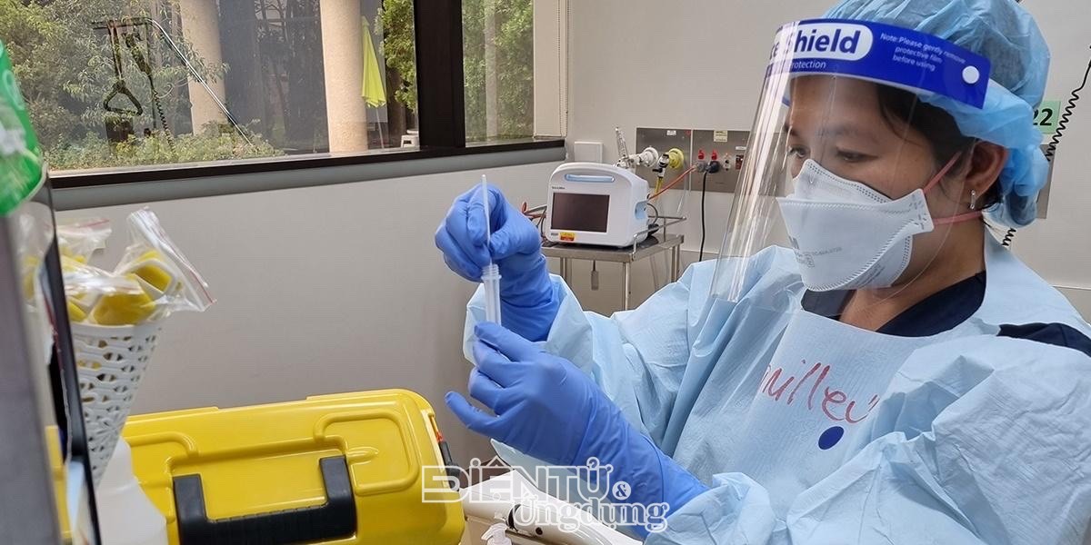 Đại học Monash phát hiện cơ chế tăng sức mạnh cho tế bào tiêu diệt ung thư