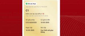Cách hiển thị bằng lái xe mới trên VNeID sau khi hoàn thành thủ tục online