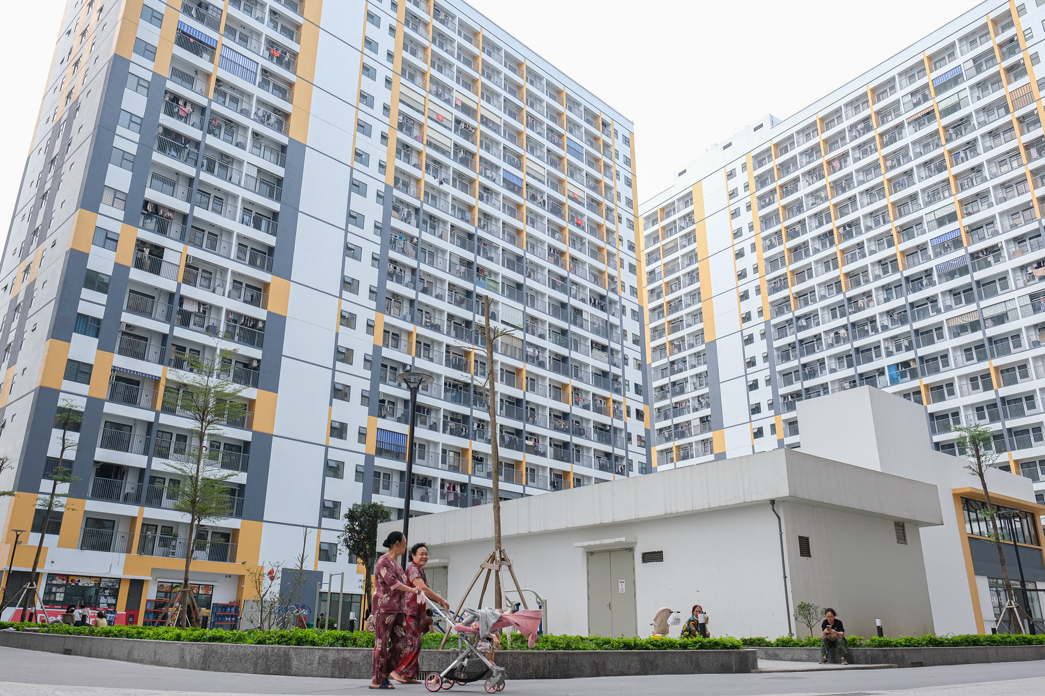 dữ liệu quốc gia - Ảnh 1.