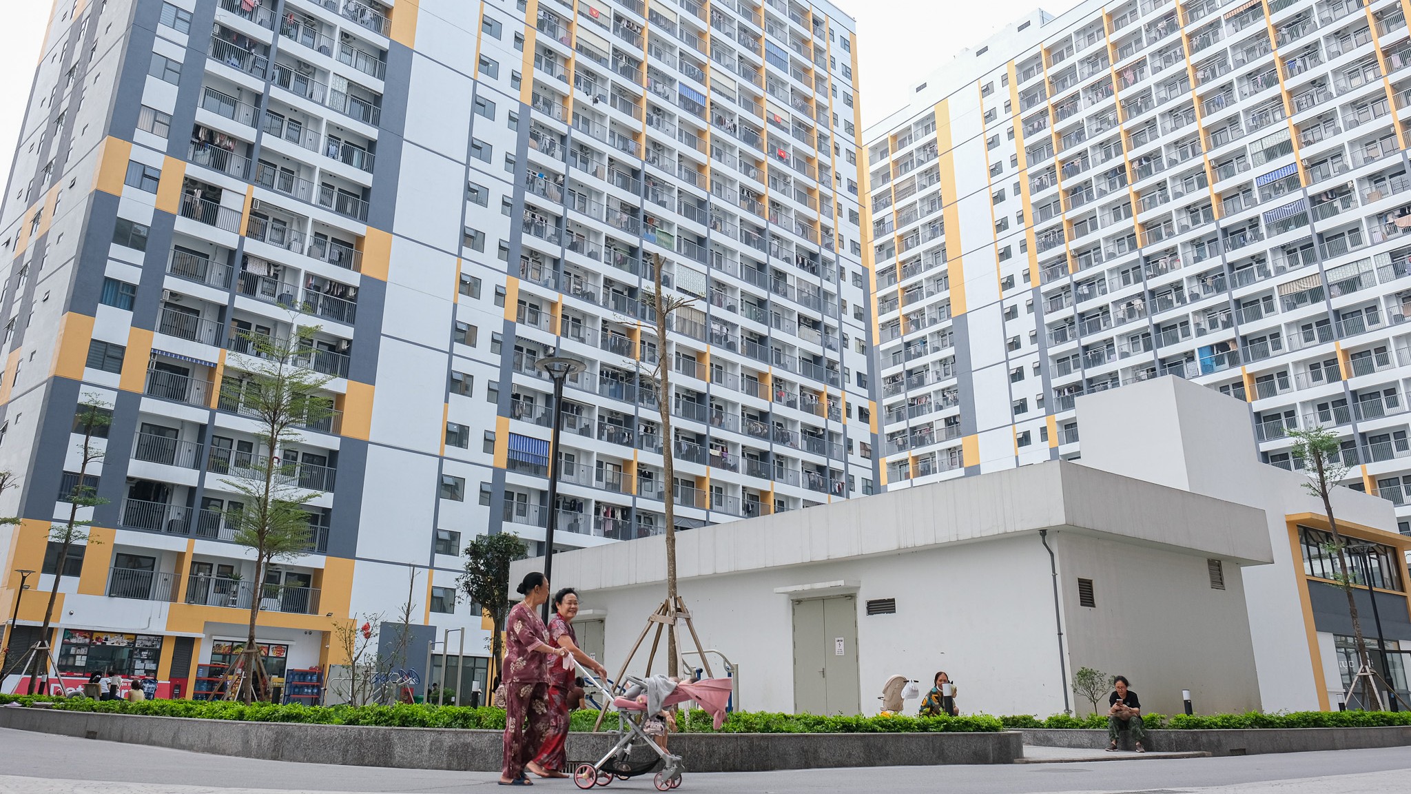 Thủ tướng yêu cầu phát triển cơ sở dữ liệu quốc gia về đất đai, kiểm soát tài sản thu nhập