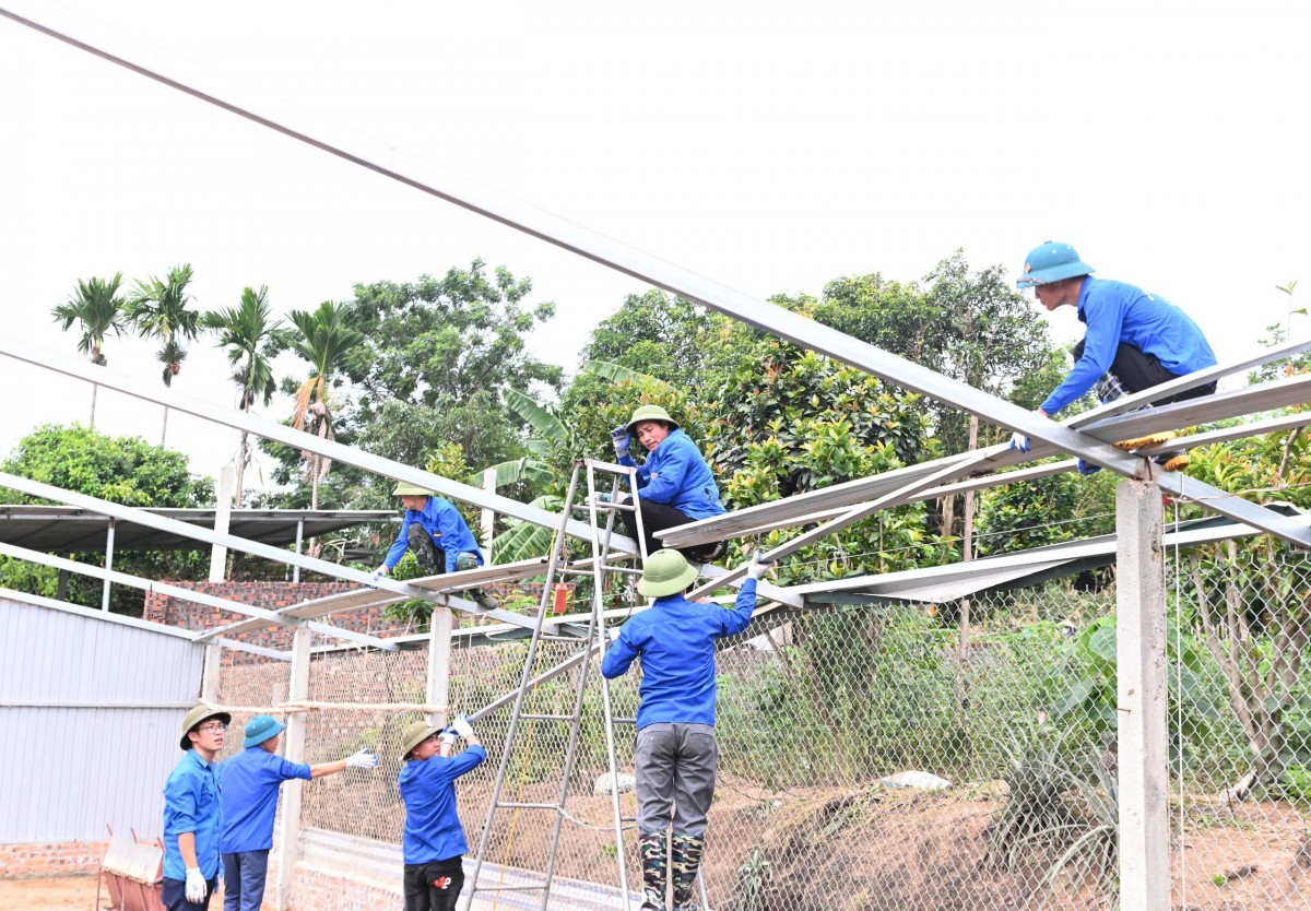 Thanh niên tình nguyện “tiếp sức” thi công đường dây 500kV Thanh niên tình nguyện “tiếp sức” thi công đường dây 500kV
