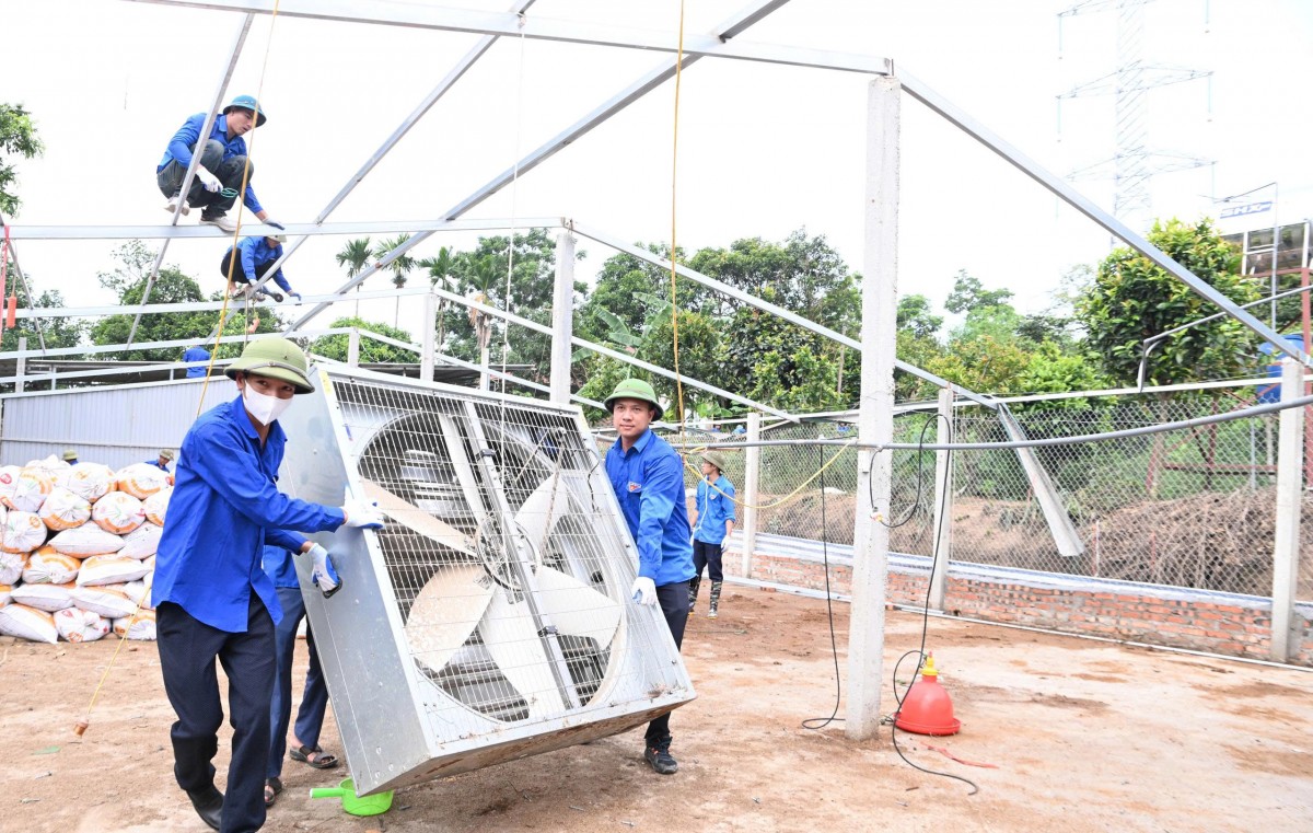 Thanh niên tình nguyện “tiếp sức” thi công đường dây 500kV Thanh niên tình nguyện “tiếp sức” thi công đường dây 500kV