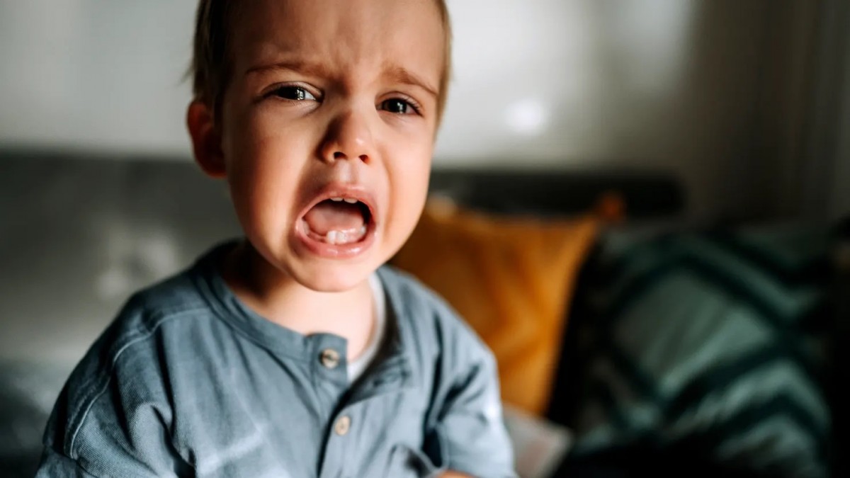 7 cụm từ hữu ích giúp cha mẹ xử lý cơn giận dữ của trẻ mà không cần la mắng 7 cụm từ hữu ích giúp cha mẹ xử lý cơn giận dữ của trẻ mà không cần la mắng