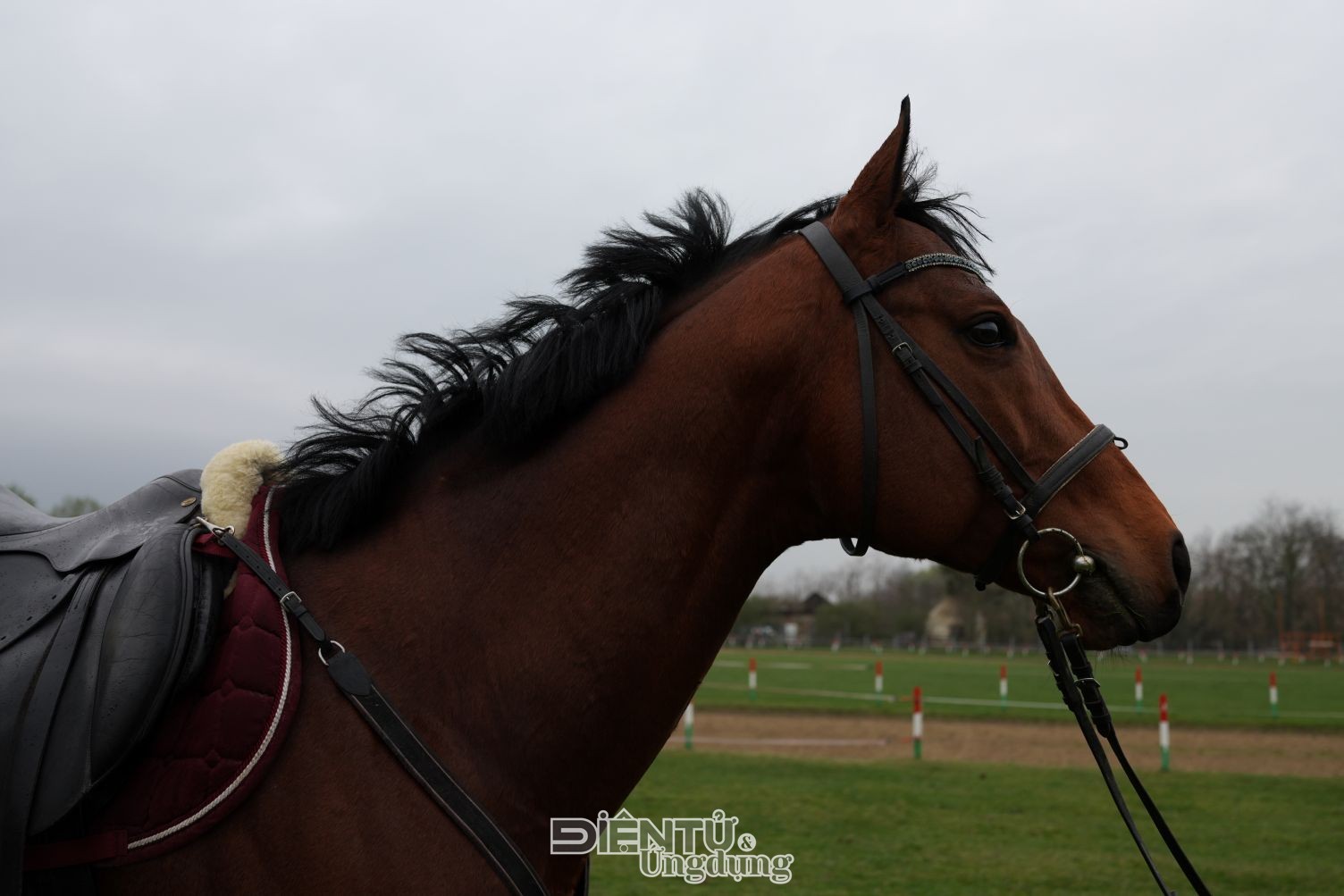 Sony ra mắt máy ảnh compact cao cấp RX1R III