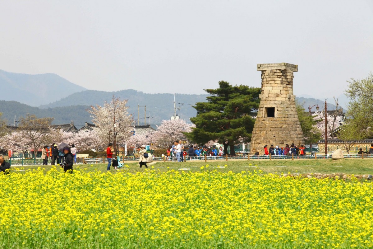 le-hoi-hoa-anh-dao-gyeongju20250905064312.jpg?rt=20250905064331