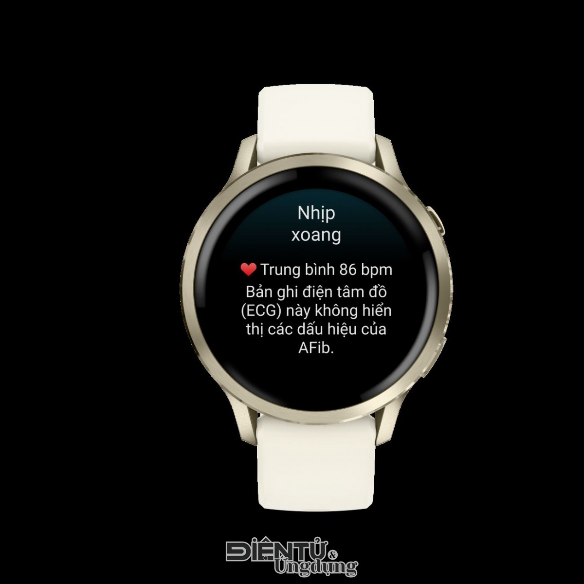 Garmin Venu 4, chăm sóc sức khỏe toàn diện hơn Garmin Venu 4, chăm sóc sức khỏe toàn diện hơn