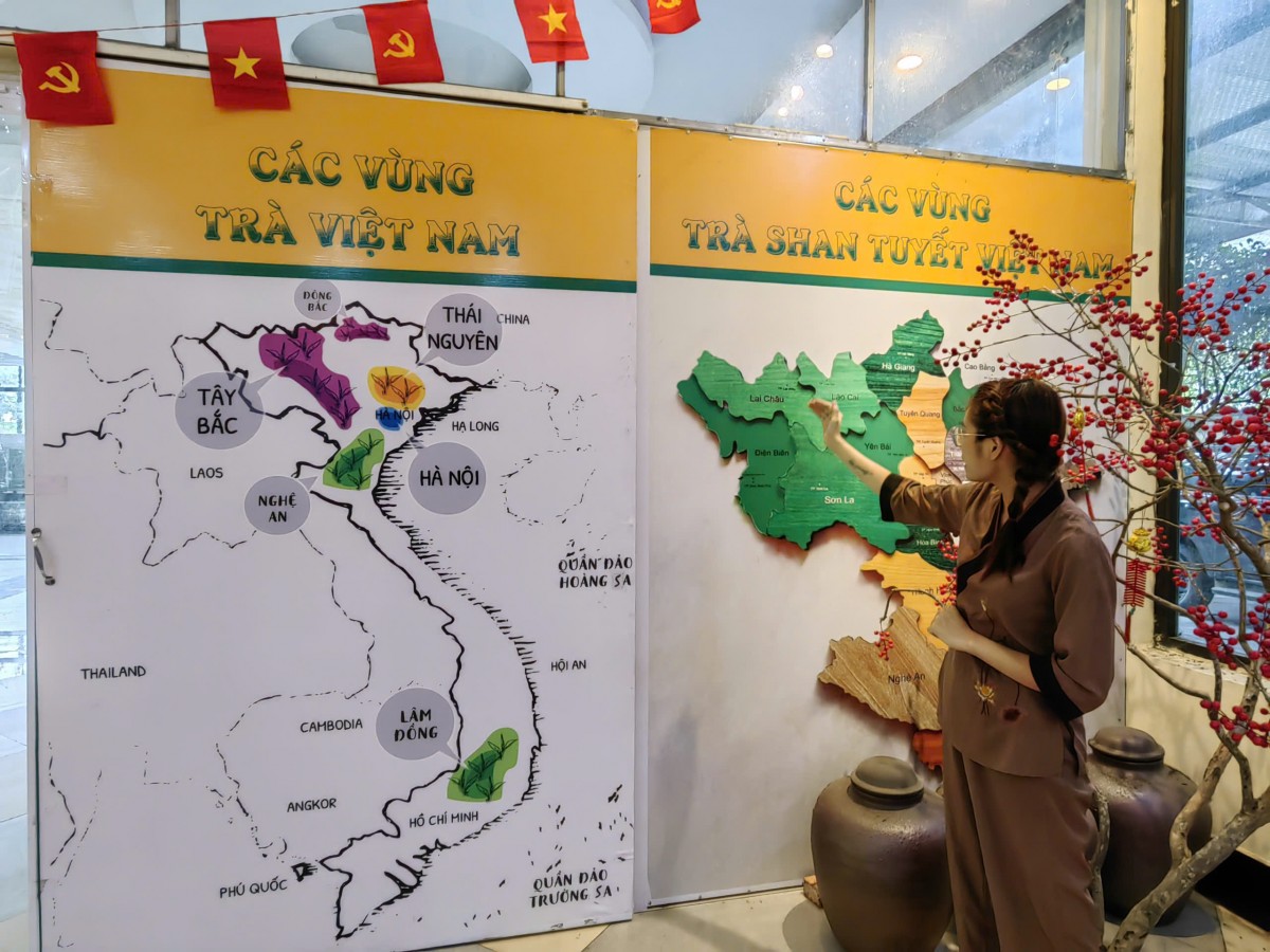 Trung tâm Trà 5 cực