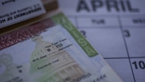 Từ Elon Musk đến Satya Nadella: Hành trình của các nhà lãnh đạo công nghệ Mỹ nhờ thị thực H-1B