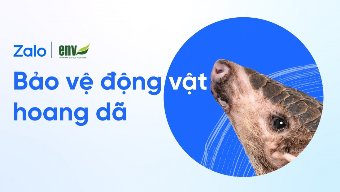 Zalo chung tay ngăn chặn buôn bán động vật hoang dã trái phép