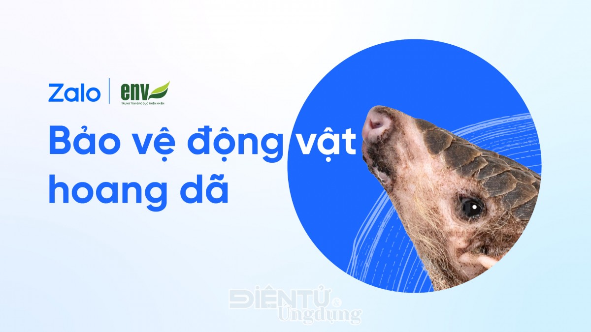 Zalo chung tay ngăn chặn buôn bán động vật hoang dã trái phép Zalo chung tay ngăn chặn buôn bán động vật hoang dã trái phép