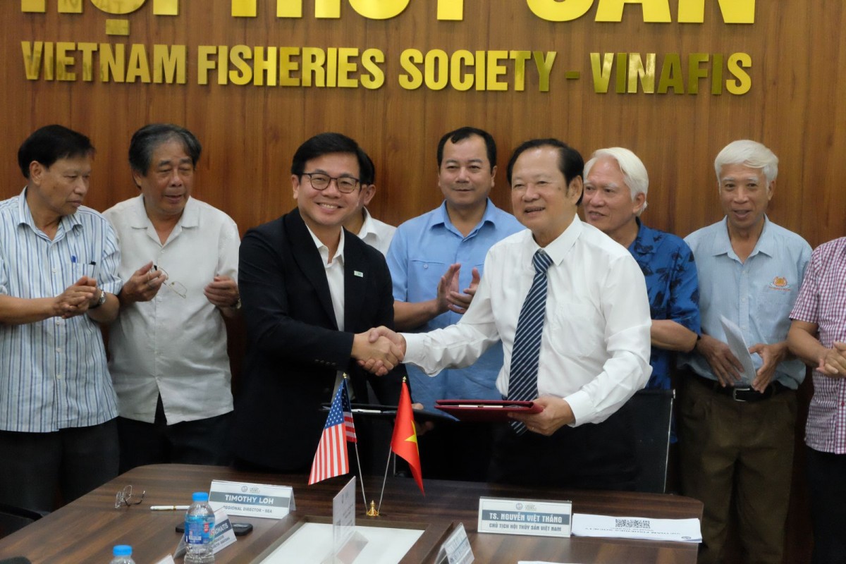 hoi-thuy-san hoi-thuy-san