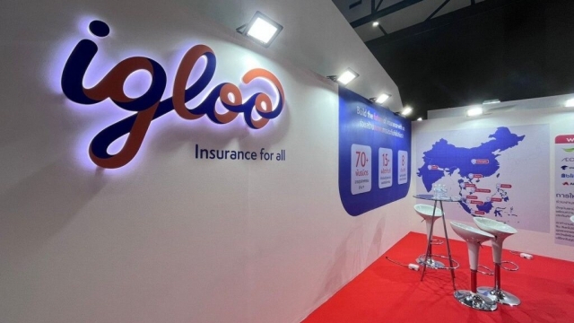 Igloo có Tổng Giám đốc mới