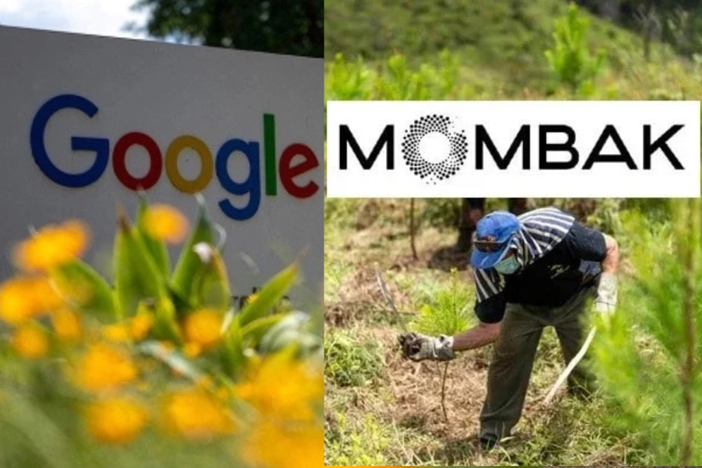 Google ký thỏa thuận lớn nhất từ trước tới nay về tín chỉ carbon