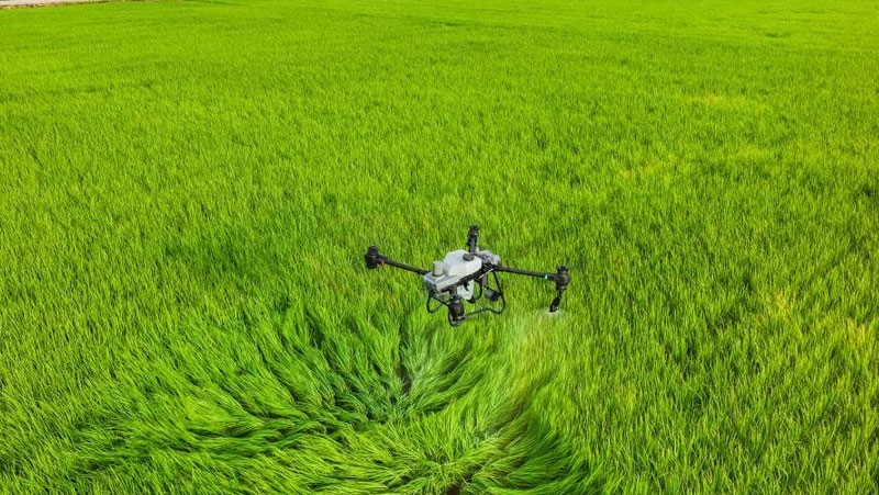 DJI Agras T50. Ảnh: Báo Tuyên Quang điện tử