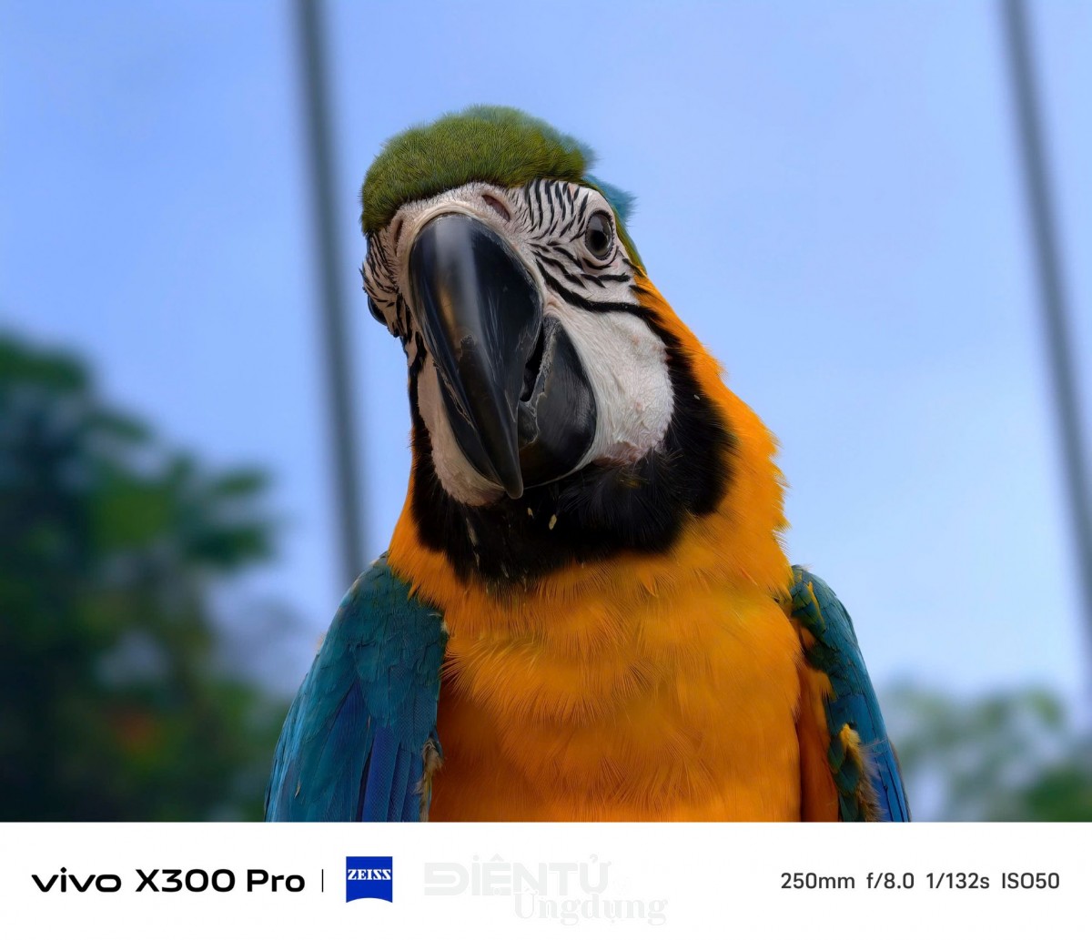 vivo chính thức ra mắt siêu phẩm X300 Series tại thị trường Việt Nam