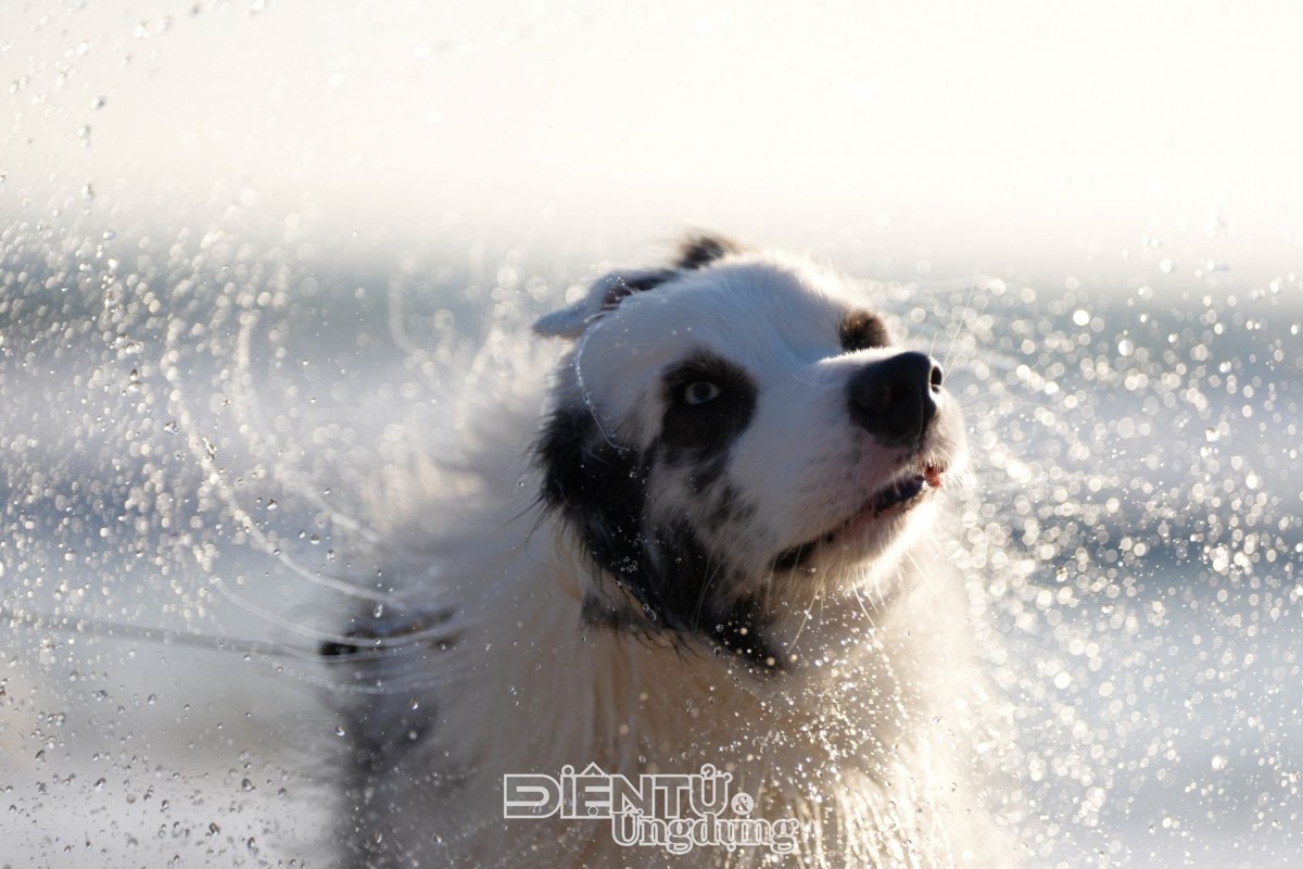 Sony Alpha 7 V chính thức lên kệ