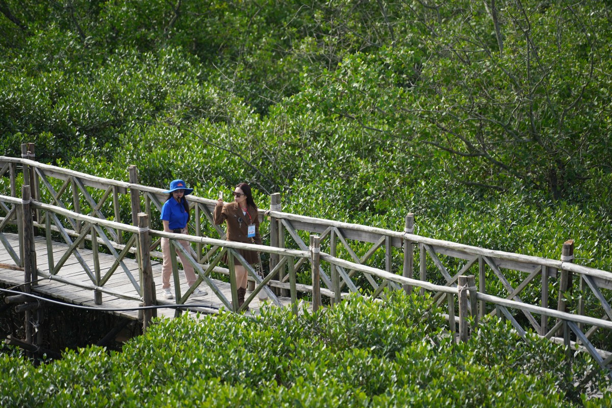 Đồi Rồng được công nhận Điểm du lịch, cú hích đưa du lịch Hải Phòng lên tầm cao mới