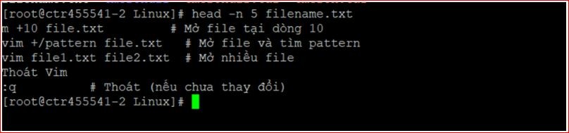 Hướng dẫn toàn diện sử dụng lệnh Linux Hướng dẫn toàn diện sử dụng lệnh Linux