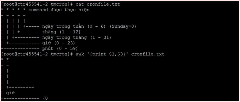Hướng dẫn toàn diện sử dụng lệnh Linux Hướng dẫn toàn diện sử dụng lệnh Linux