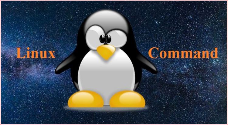 Hướng dẫn toàn diện sử dụng lệnh Linux Hướng dẫn toàn diện sử dụng lệnh Linux