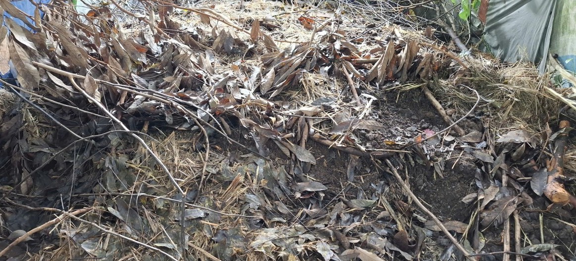 Thanh niên, cán bộ Đoàn tiên phong bảo vệ môi trường từ xử lý chất thải nông nghiệp