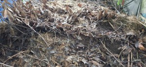 Thanh niên, cán bộ Đoàn tiên phong bảo vệ môi trường từ xử lý chất thải nông nghiệp