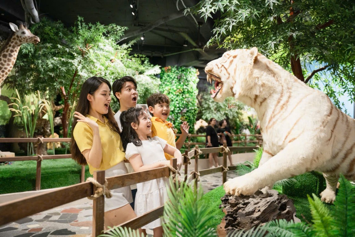 Lễ hội du xuân đặc sắc chào Tết Bính Ngọ 2026 tại Công viên Thiên đường Bảo Sơn Lễ hội du xuân đặc sắc chào Tết Bính Ngọ 2026 tại Công viên Thiên đường Bảo Sơn