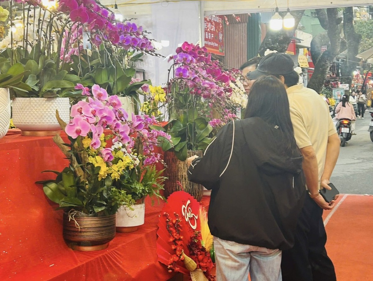 Nhiều điểm mới tại Chợ hoa Xuân Phố cổ đón Tết Bính Ngọ 2026