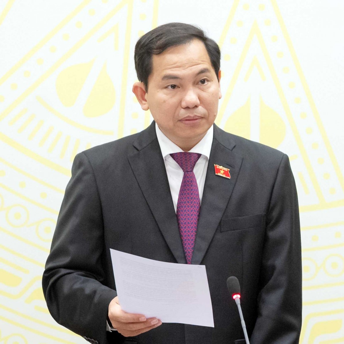 Ủy viên Trung ương Đảng, Tổng Thư ký Quốc hội, Chủ nhiệm Văn phòng Quốc hội, Chánh Văn phòng Hội đồng Bầu cử quốc gia Lê Quang Mạnh cho biết, thành công của cuộc bầu cử quyết định trực tiếp chất lượng “đầu vào” của Quốc hội. Ảnh: Phạm Thắng. Ủy viên Trung ương Đảng, Tổng Thư ký Quốc hội, Chủ nhiệm Văn phòng Quốc hội, Chánh Văn phòng Hội đồng Bầu cử quốc gia Lê Quang Mạnh cho biết, thành công của cuộc bầu cử quyết định trực tiếp chất lượng “đầu vào” của Quốc hội. Ảnh: Phạm Thắng.