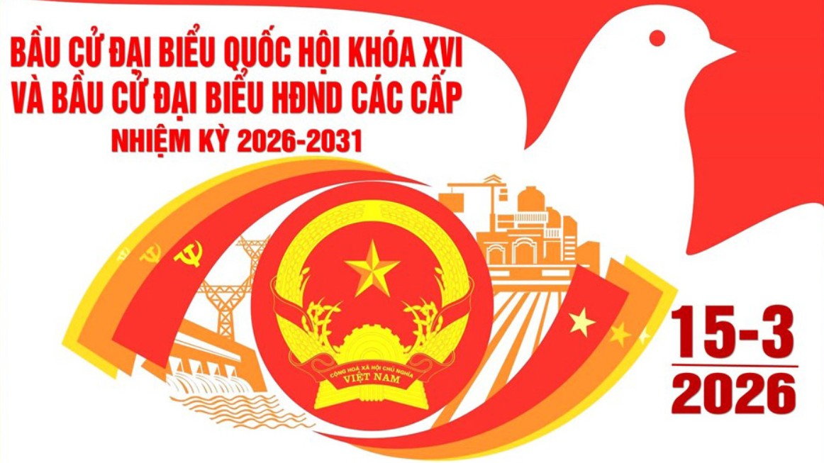 Quy trình bỏ phiếu bầu cử đại biểu Quốc hội và Hội đồng nhân dân các cấp nhiệm kỳ 2026 - 2031
