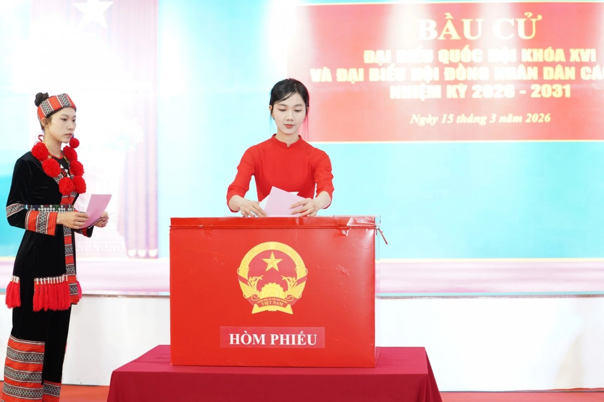 Các sinh viên năm nhất Trường Đại học Khoa học (Đại học Thái Nguyên) bỏ phiếu bầu cử trong sáng 15/3.