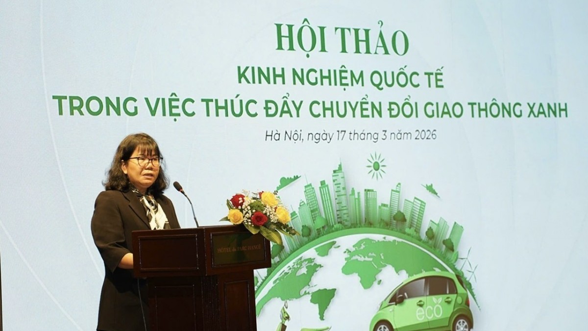 Chia sẻ kinh nghiệm quốc tế thúc đẩy chuyển đổi giao thông xanh tại Việt Nam