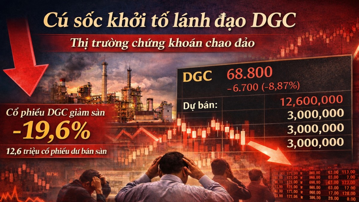 Cú sốc khởi tố lãnh đạo DGC: Thị trường chứng khoán đối mặt khủng hoảng niềm tin