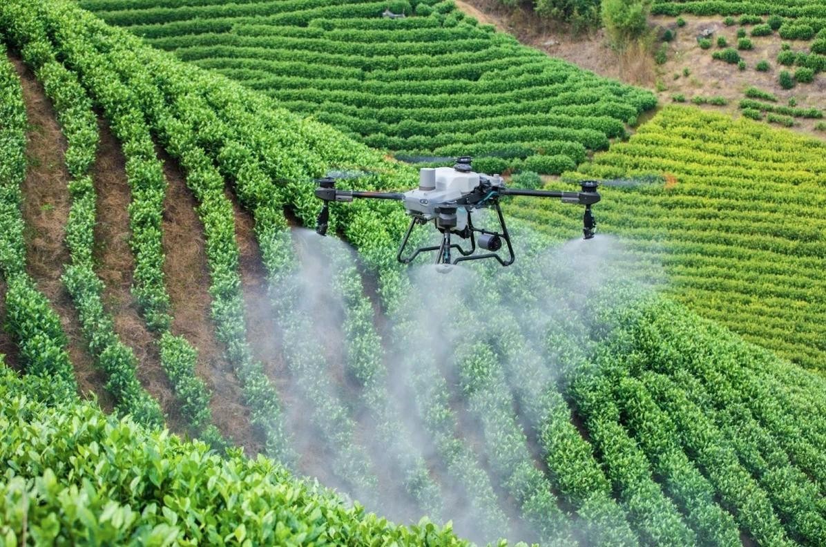 Một mẫu drone phun thuốc trên cánh đồng.