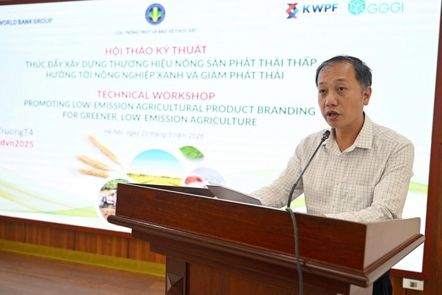 Xây dựng thương hiệu nông sản phát thải thấp: Động lực mới cho nông nghiệp Việt