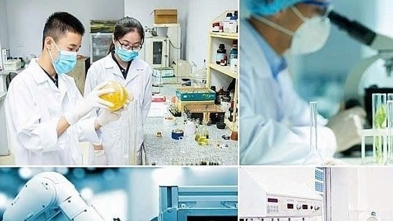 Chuẩn hóa tổ chức, hoạt động Quỹ khoa học, công nghệ và đổi mới sáng tạo từ Trung ương đến địa phương