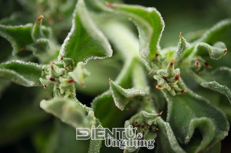 Cải tiến quy trình sản xuất mỹ phẩm từ thiên nhiên, Groupe Rocher hợp tác với Dassault Systèmes Cải tiến quy trình sản xuất mỹ phẩm từ thiên nhiên, Groupe Rocher hợp tác với Dassault Systèmes