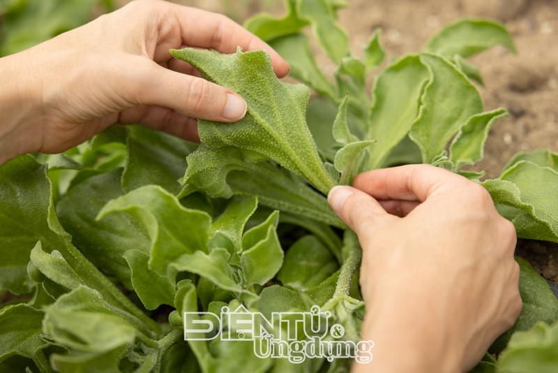 Cải tiến quy trình sản xuất mỹ phẩm từ thiên nhiên, Groupe Rocher hợp tác với Dassault Systèmes Cải tiến quy trình sản xuất mỹ phẩm từ thiên nhiên, Groupe Rocher hợp tác với Dassault Systèmes